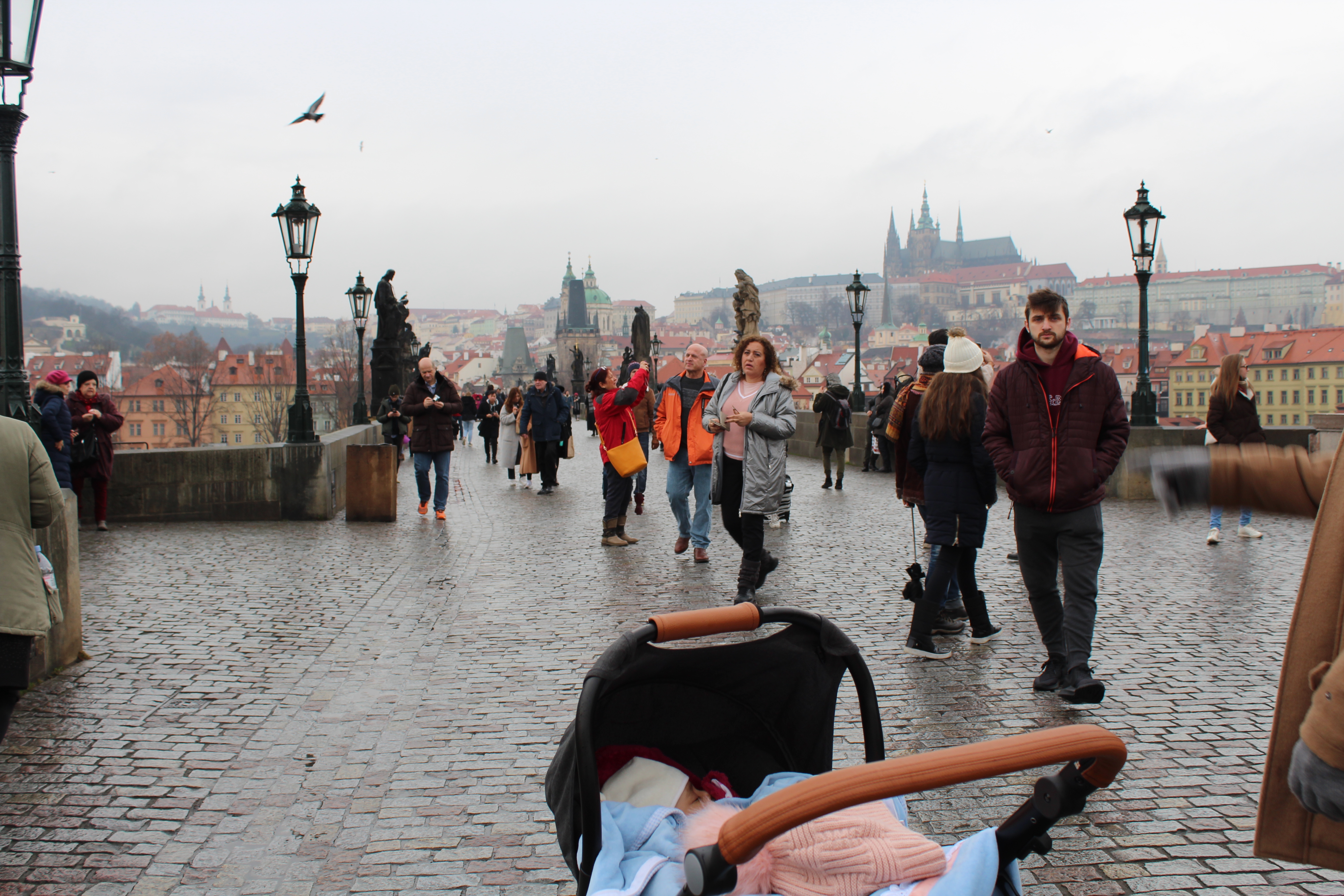 Charles Bridge